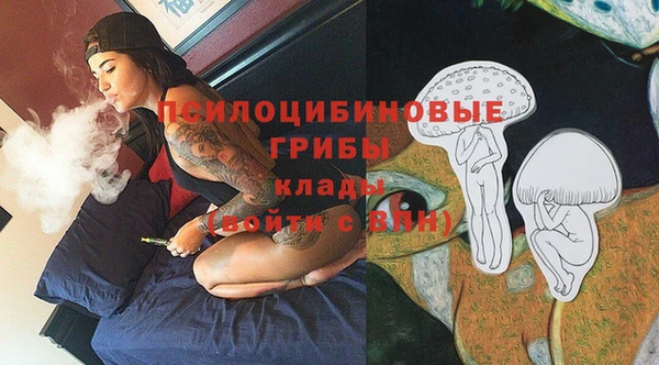 шишки Бронницы