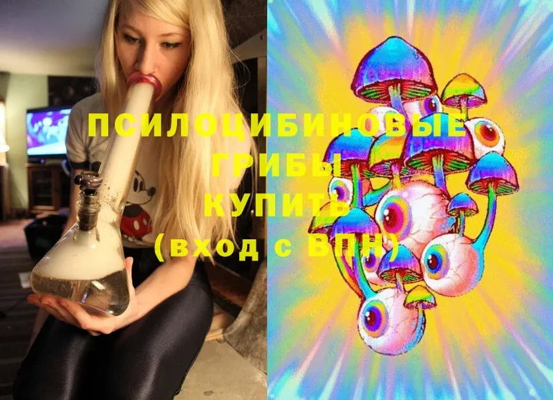 Галлюциногенные грибы MAGIC MUSHROOMS  гидра ссылка  Новосибирск  где найти наркотики 